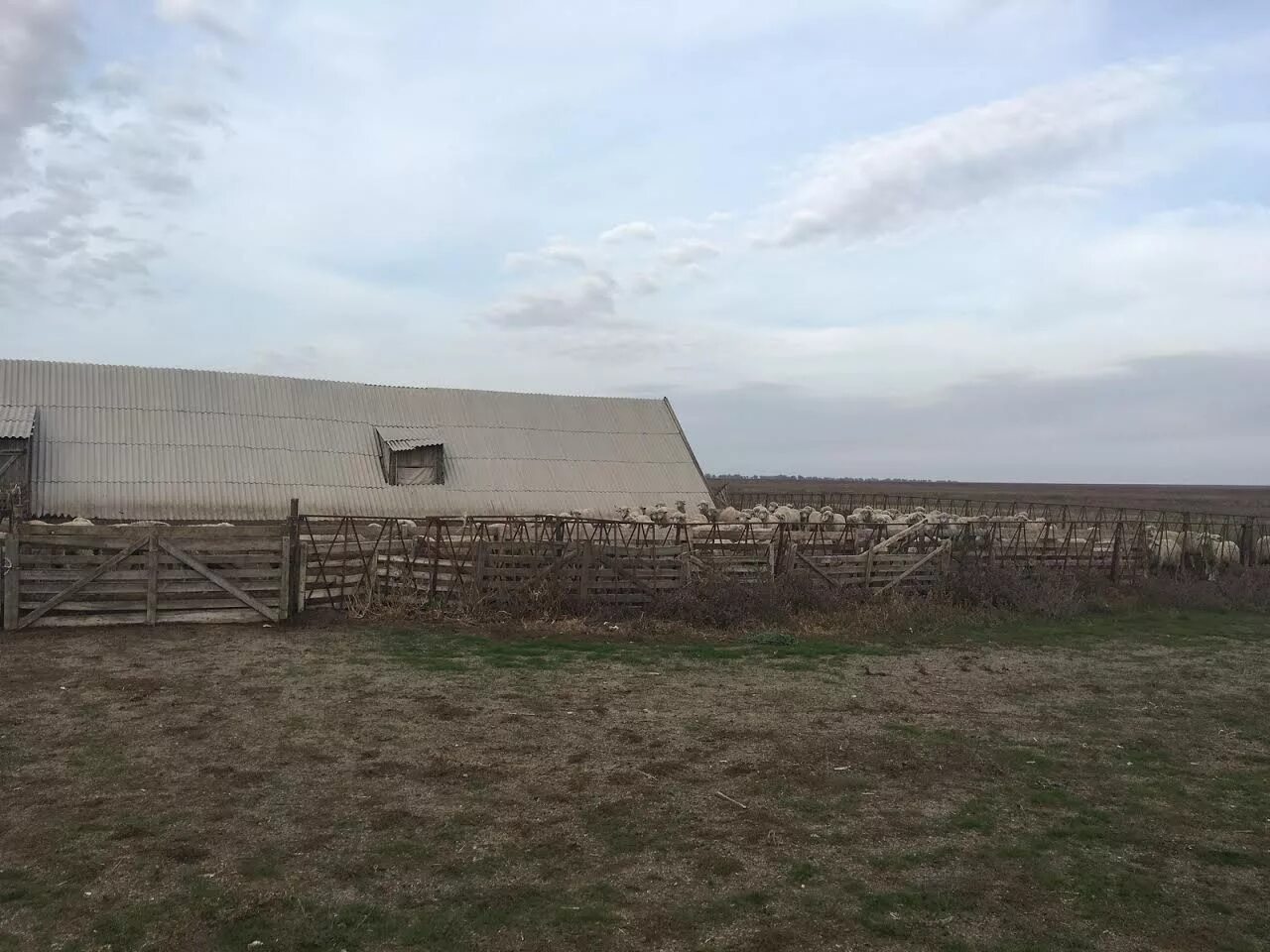 Погода в рагулях апанасенковский край