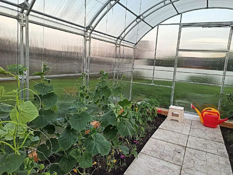 Печуркина дача ютуб новое. Печуркина дача ютуб новое. Печуркина дача ютуб новое. Печуркина дача ютуб новое. Печуркина дача ютуб новое.