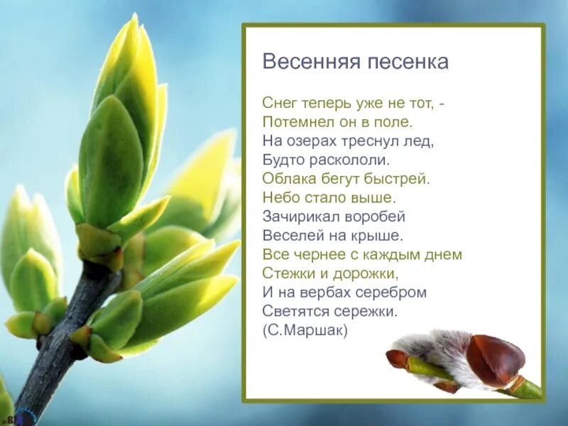 Весенняя песня на телефон. Снег теперь уже не тот потемнел. Стих снег теперь уже не тот. Снег теперь уже. Снег теперь уже не тот потемнел он в поле.