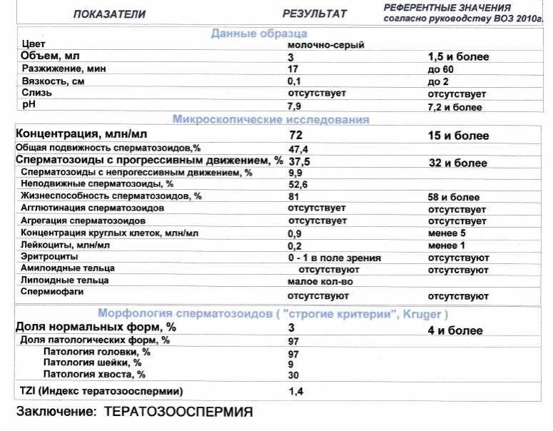 Дефекты головки у спермиев. Морфология головки. Строение ядра сперматозоида. Строение сперматозоида акросома. Морфология головки.