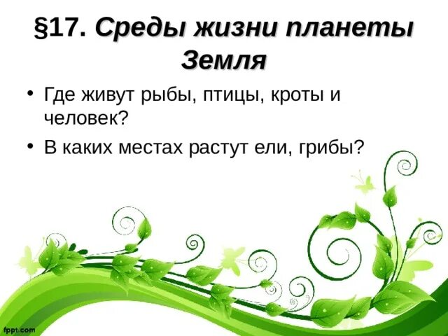 Среды жизни. Среды жизни на планете. Среды жизни организмов на земле. Жизнь организмов на планете земля. Условия жизни на земле 9 класс презентация