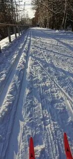 Состояние лыжных трасс сегодня