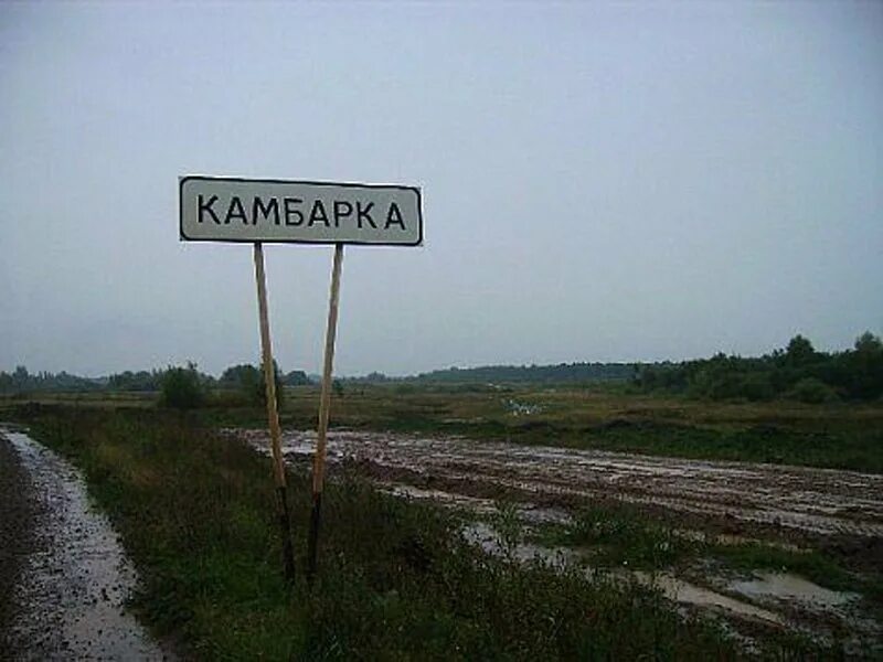 Сколько камбарка. Платина в камбарке. Камбарка удмуртия природа. Город камбарка удмуртская республика. Удмуртская республика, камбарский р-н, г.