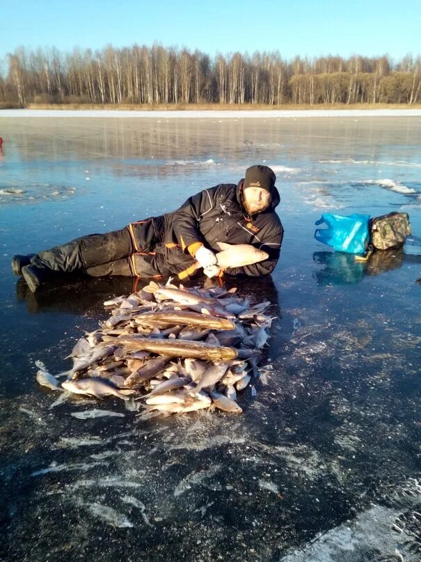 Вазузское водохранилище рыбалка. Вазузское водохранилище Выродово. Вазузское водохранилище Смоленская область. Яуза Вазузское водохранилище. Форум вазузского водохранилища