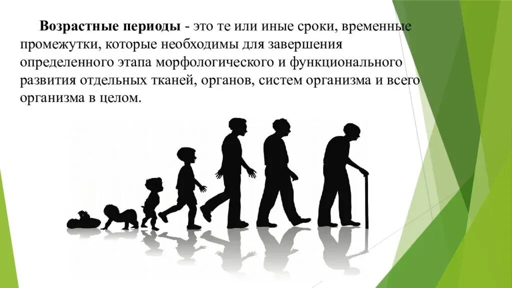 Периоды развития человека. Возрастные периоды. Возрастные периоды жизни. Возрастные периоды жизни человека.