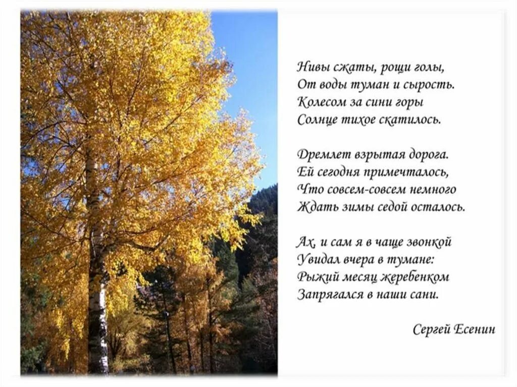 Русские короткие стихотворения. Стихи про осень русских поэтов. Стихи русских поэтов о Босини. Стихи поэтов про осень. Осень стихи классиков.