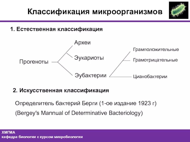 Природно-экономическая классификация природных ресурсов. Выберите естественные классификации. Искусственная систематика. Естественная классификация. Естественная классификация.