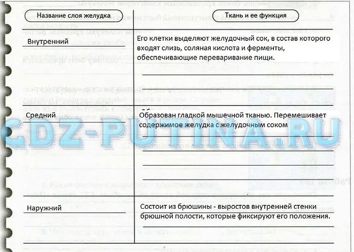 Таблица название ткани выполняемая функция 1 СТРОЕНИЕ И ФУНКЦИИ КЛЕТКИ ТКАНИ pictures