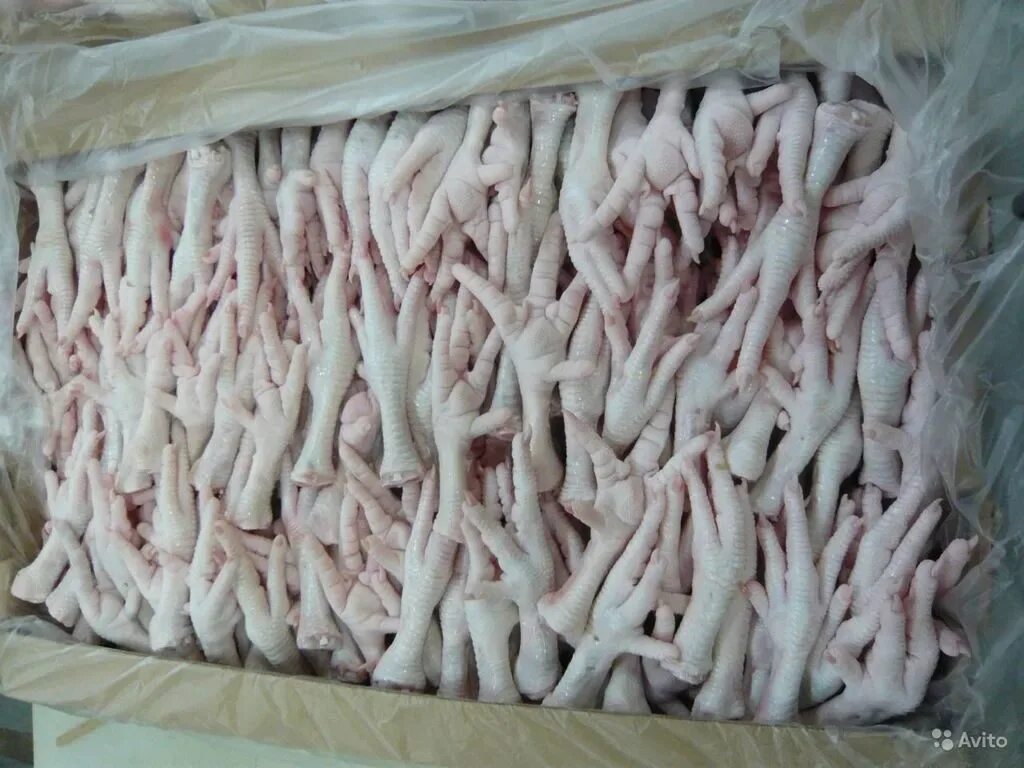 Куриные лапки оптом. Куриные лапки оптом. Куриная лапка категории а. Куриные лапки оптом. Куриная лапка категории а.