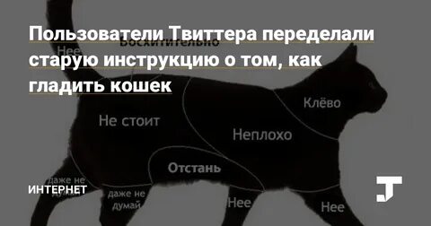 Зачем гладить кота