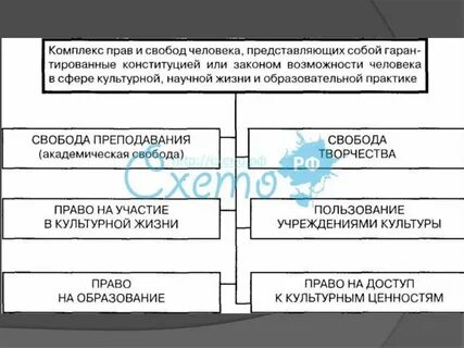 Статья право на участие в культурной жизни
