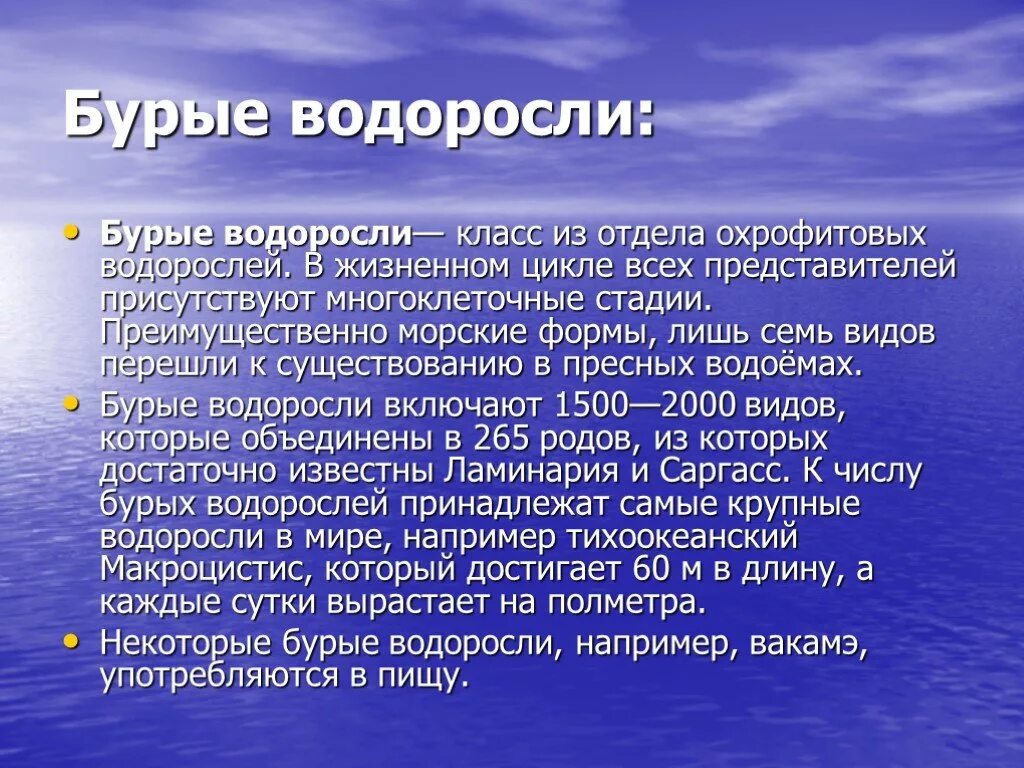 Как питаются бурые водоросли. Интересные факты о бурых водорослях. сообщение о бурых водорослях. бурые водоросли доклад. питание бурых водорослей.