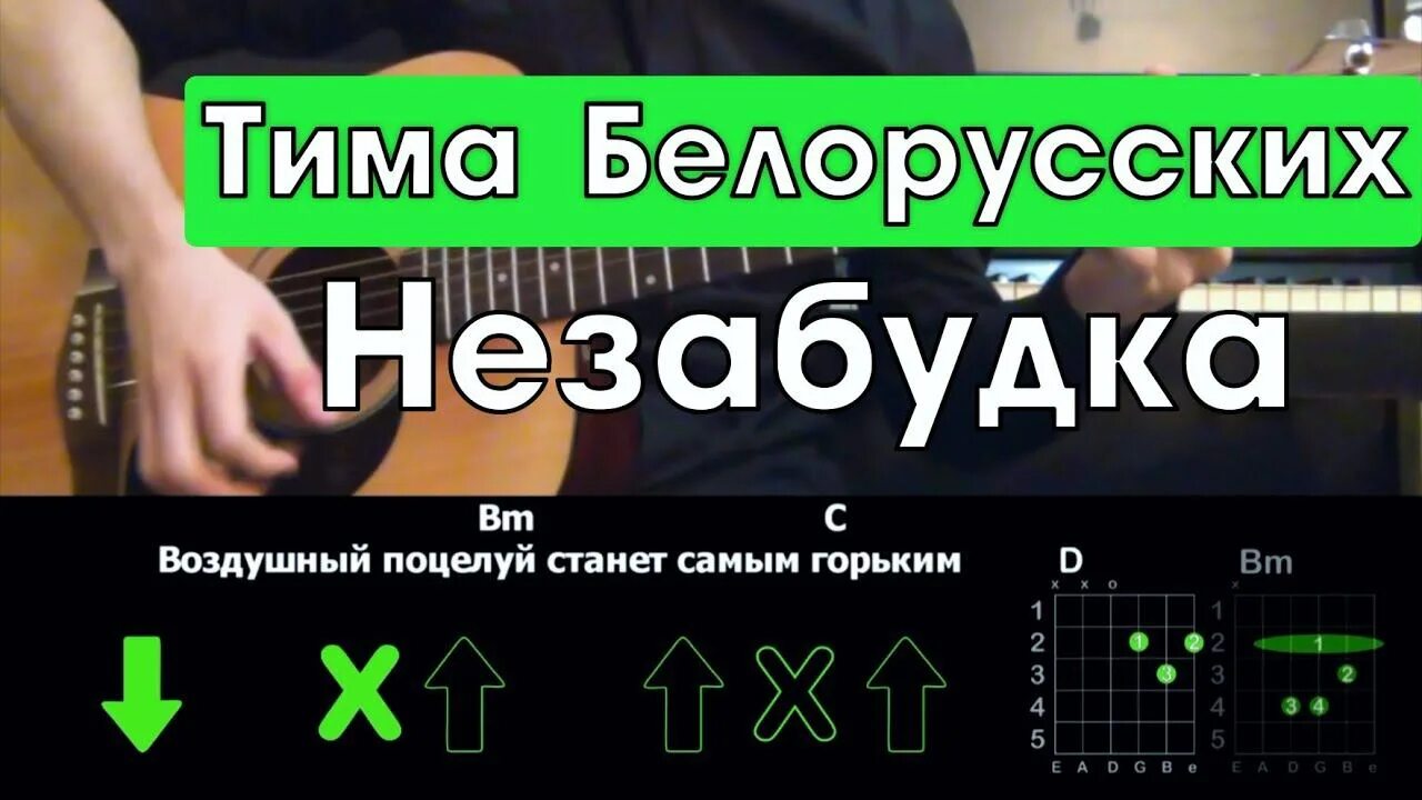 Незабудка на гитаре. Тима белорусских Незабудка на гитаре. Незабудка табы. Незабудка аккорды. Ноты незабудка