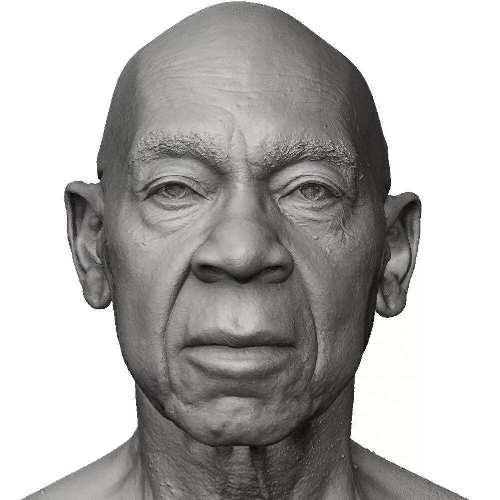 3d head. 3d head. Зд модель голова. Голова 3д. 3d scan head.