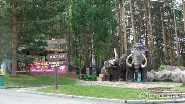 Красноярск парк флоры и фауны роев ручей. Красноярск парк флоры и фауны роев ручей. Красноярск парк флоры и фауны роев ручей. Красноярский зоопарк роев ручей. Красноярск парк флоры и фауны роев ручей.