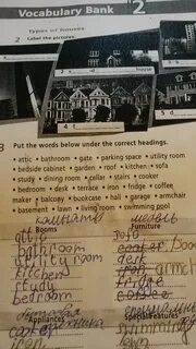 Put the words under the following headings