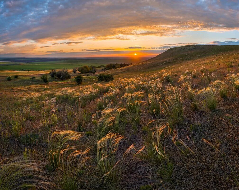 красота степи