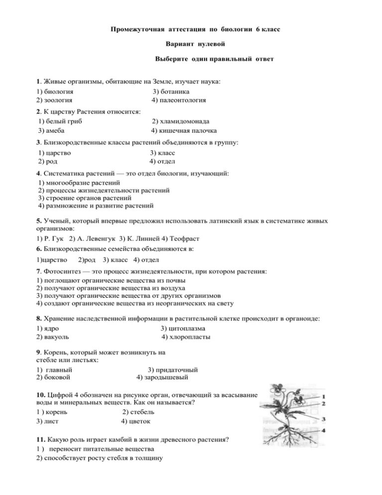 Промежуточная аттестация по биологии шестой класс. Итоговая аттестация по биологии 6 класс с ответами Пасечник. Подготовка к промежуточной аттестации по биологии 6 класс. Биология аттестация 6 класс промежуточная 2023. Биология годовая контрольная