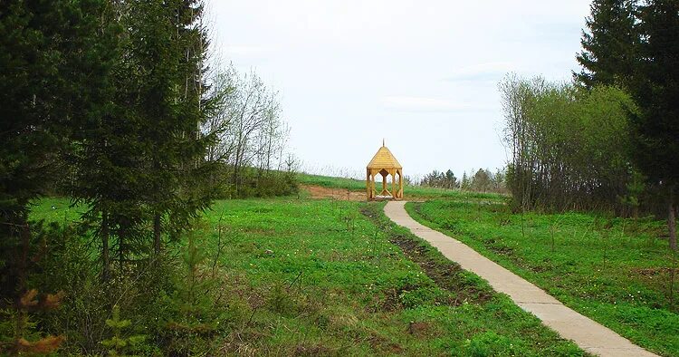 родник деревня песочное костромская область. родник источник в рапполово. родник ясенец. родник паника кадом. родник барсуки.