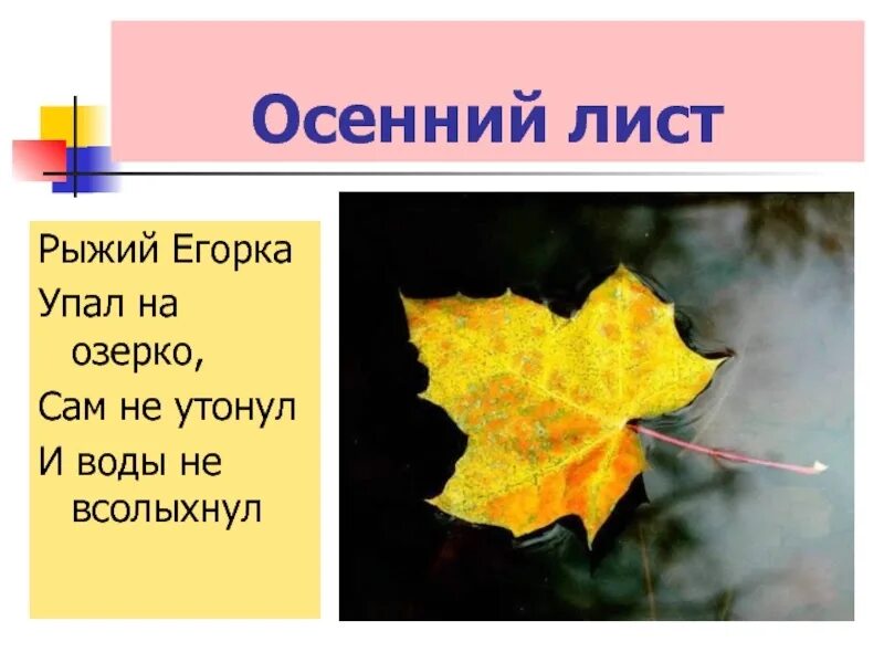 Вопрос к слову листьев. Загадки про листья. Осенние загадки. Загадки про осенние листья. Загадки на тему листья.