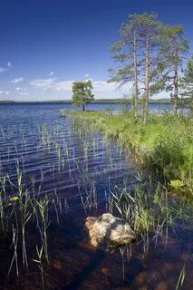 Карелия арт