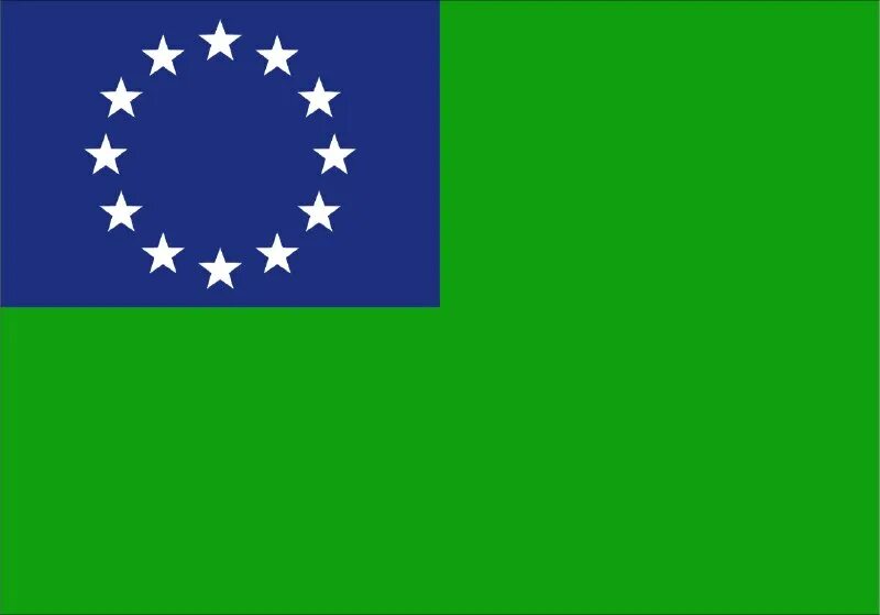 флаг две зеленые звезды. черный флаг. красный флаг с зеленой звездой. зеленый флаг. флаг две зеленые звезды.