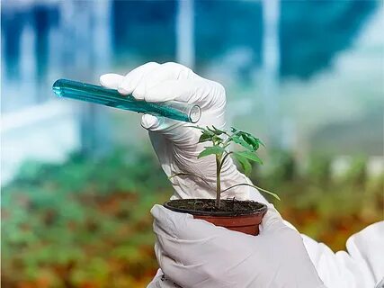 Agricultural chemistry journal