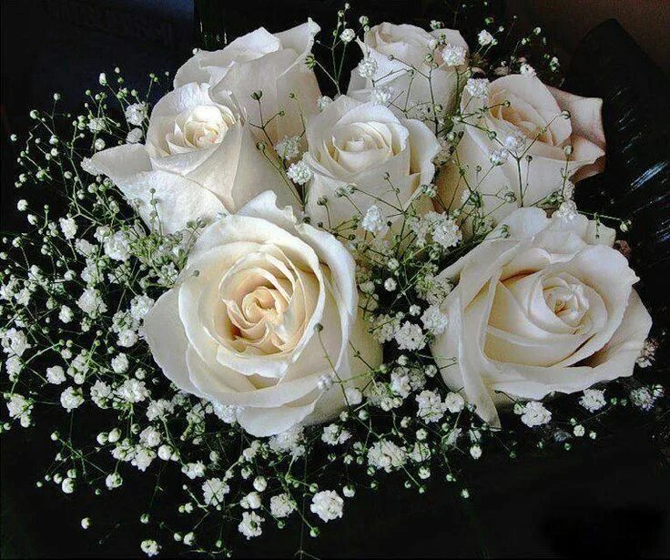 Открытка с днем рождения белые розы женщине. Открытки с белыми розами. Белые розы поздравление. Красивые белые цветы. Красивые белые розы.