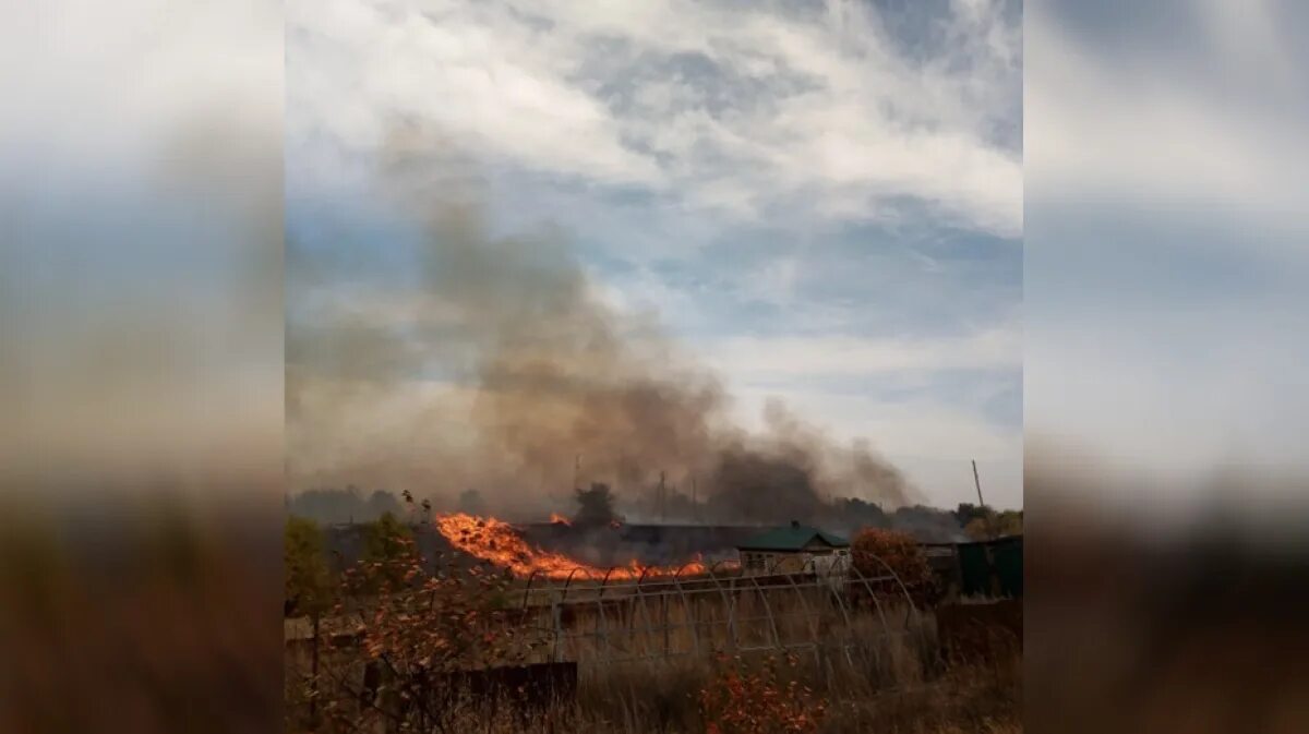 Пожар в селе Николаевка Воронежской области. 2020 Сгорела Николаевка Воронежская. Лесной пожар Николаевка. Пожар в Николаевке Воронежской области Павловского района. Погода николаевка павловский воронежской