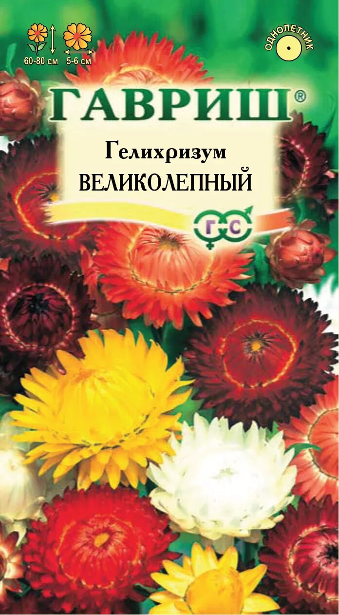 Гелихризум великолепная смесь. Гелихризум Скарлет. Семена гелихризум великолепный Гавриш. Гелихризум фото и описание