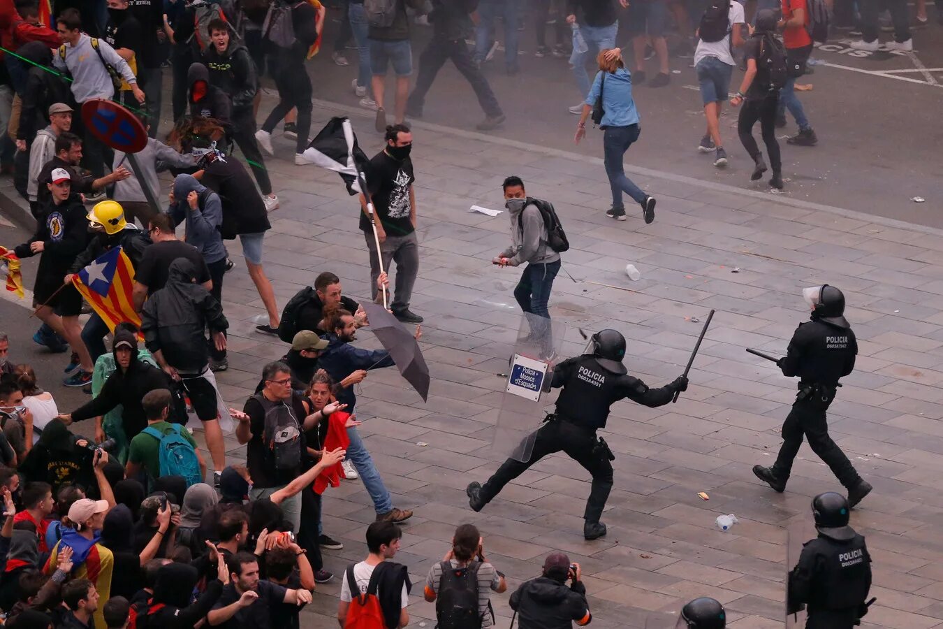 Толпа массовые беспорядки. Поведение митинге