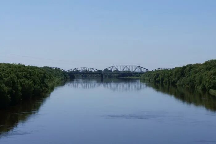 Река десна у чернигова. Биринский мост через десну. Река десна мост. Железнодорожный мост через реку десна в белой березке. Трубчевск мост через десну.