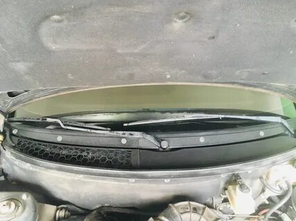 Под жабо