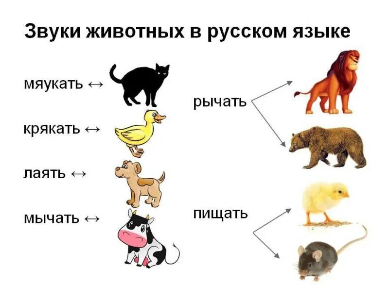 Как поют разные звери. Животные звуки. Животные издают звуки. Звуки издаваемые животными. Животные и звуки которые они издают для детей.