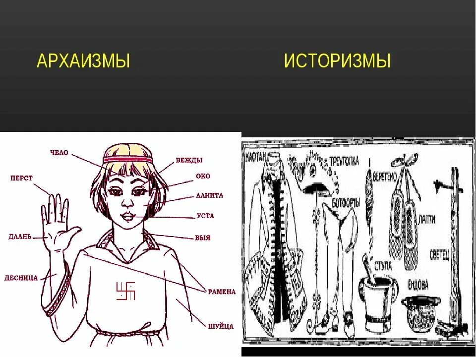 Какие были устаревшие слова. Архаизмы и историзмы. устаревшие слова архаизмы и историзмы. примеры историзмы и арзаизмов. устаревшие вещи архаизмы.