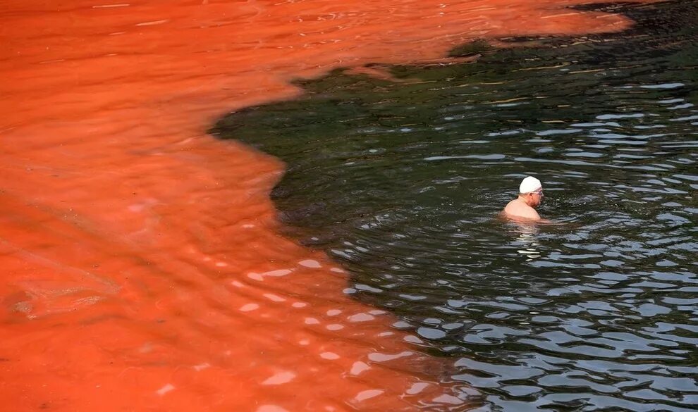 Красная вода в море. Красное цветение воды. Красный водоем. Водоросли красного моря. Красная вода видео