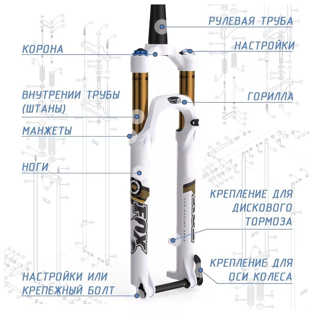 Вилка для велосипеда амортизационная схема. Схема амортизационной вилки велосипеда. Конструкция пружинно масляной вилки велосипеда. Устройство вилки велосипеда схема.