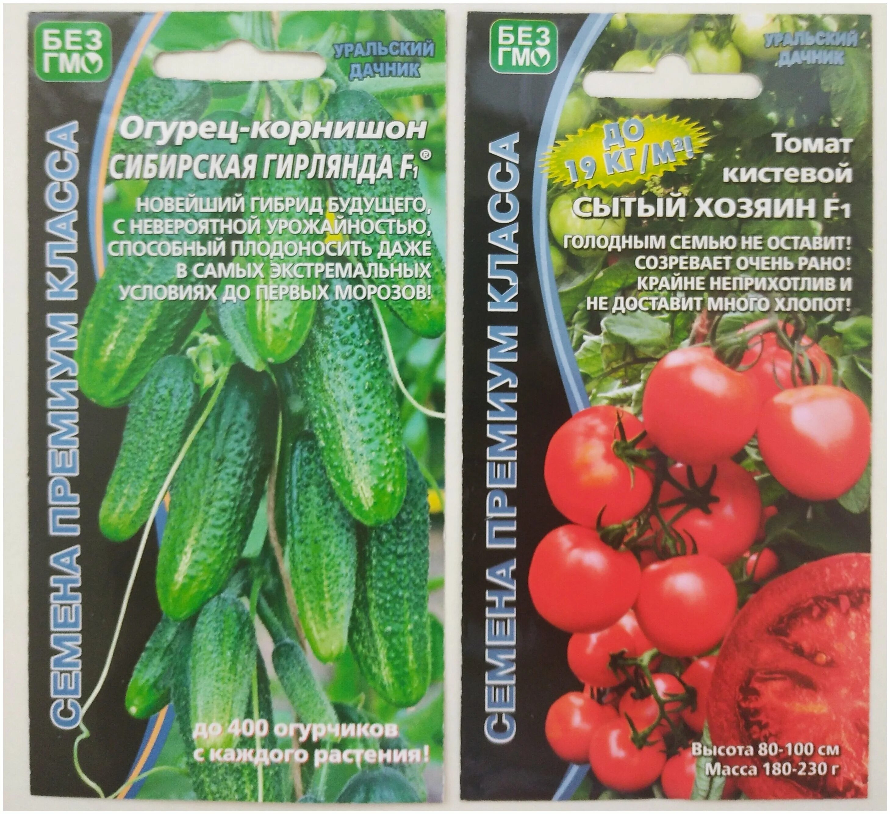 Томат кистевой сытый хозяин. Томат сытый хозяин характеристика и описание. Сорт томатов сытый папа. Томат пинк агат f1. Томат сытый хозяин f1.