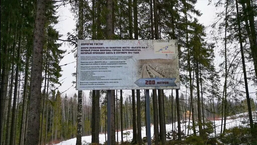 Сфр рф. Сивоконь елена сергеевна министерство финансов рф. Социальный фонд россии новый логотип. Сорола вилладж парк отель. 5 петрозаводск карелия.