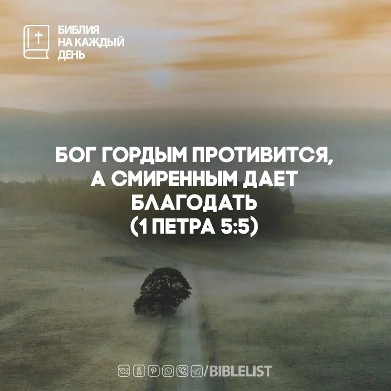 Но нет сил противиться судьбе