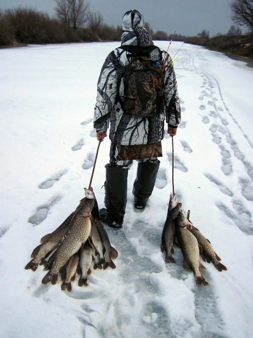 Рыбалка на севере зимой. Подледная рыбалка. Охота рыбалка зимой. Ямал ненцы охота рыбалка. Ямал ненцы охота рыбалка.