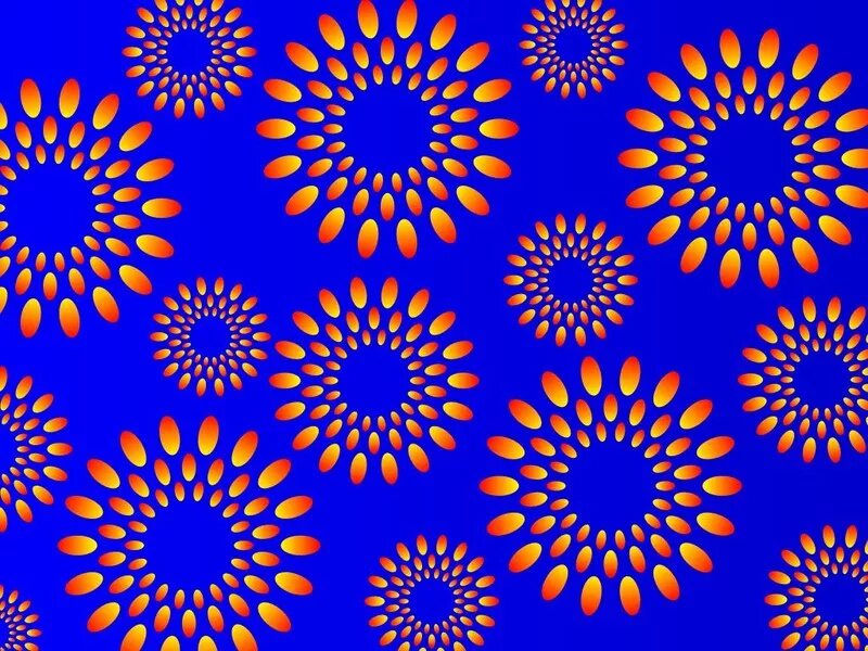 Движущиеся иллюзии. Черно белая спираль. Спираль иллюзия. Иллюзия 23. Иллюзия 23.