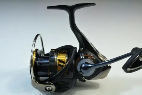 Daiwa legalis lt