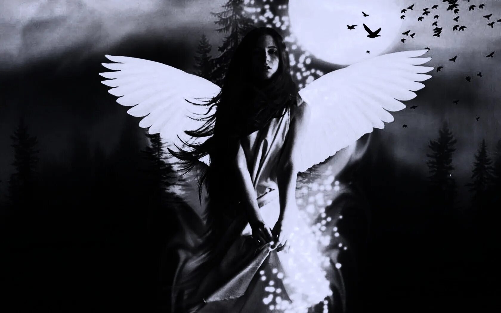 Приют ангелов сша. Angel перевод. The black angels группа логотип. Black angel перевод. Темный ангел.