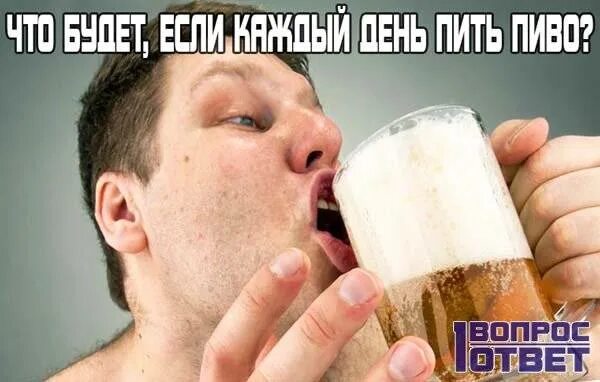 Как пить и не блевать. Пивной алкаш. пить пиво. вонючее пиво. выпить пива.
