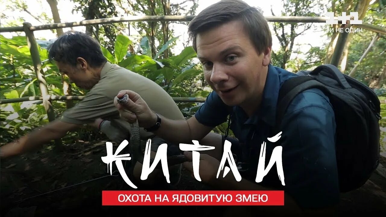 Мир наизнанку змеи. Мир наизнанку китай суп из змеи. мир наизнанку китай тараканы. мир наизнанку выпуск где потеряли змею.