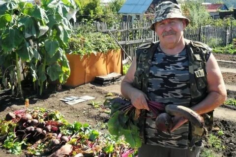 Блоггеры садоводы