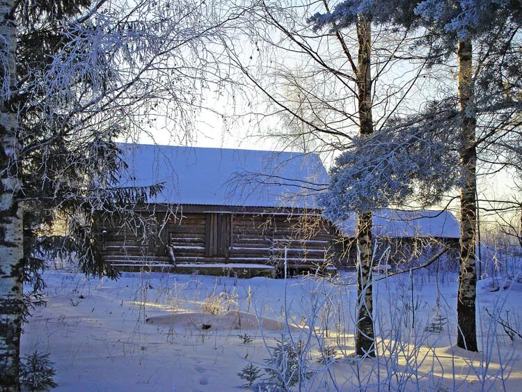 Вохма костромская область. Подслушано вохма костромской. Сайт импульс вохма. Посёлок вохма костромской области. Вохма (посёлок).