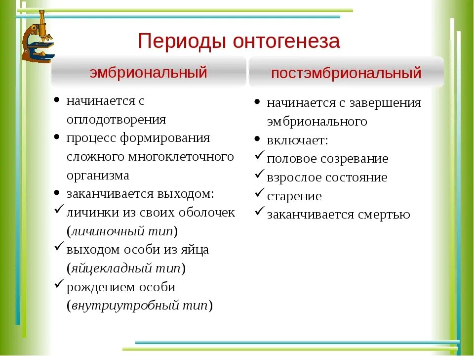 Понятия период онтогенеза. Периоды онтогенеза. Онтогенез эмбриональный и постэмбриональный периоды. Онтогенез и его этапы. Онтогенез периоды онтогенеза.