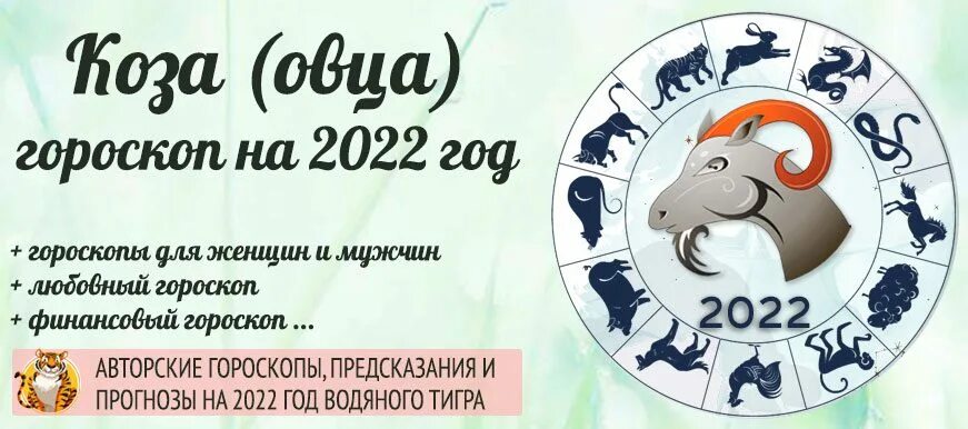 Восточный гороскоп овца. Коза гороскоп. гороскоп для козы на 2025 год для женщин. коза по китайскому гороскопу.